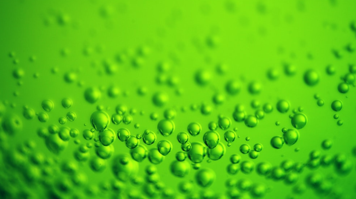 Tao Climate Hemp Sustainable Aviation Fuel SAF